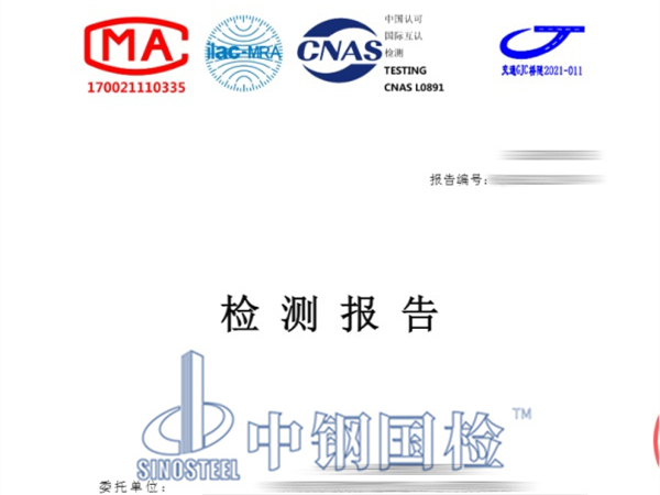 鋼棧橋檢測報告