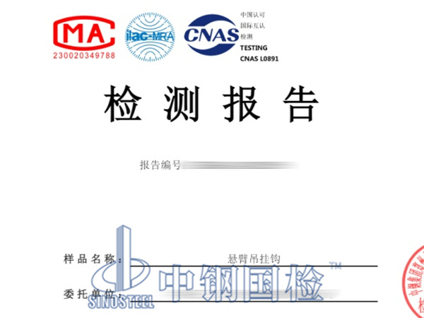 懸臂吊掛鉤檢測(cè)報(bào)告