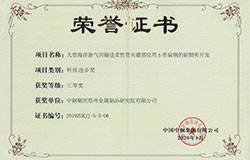 科技技術(shù)進(jìn)步獎(jiǎng)