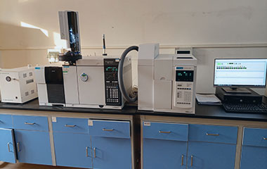 氣相色譜質(zhì)譜聯(lián)用儀